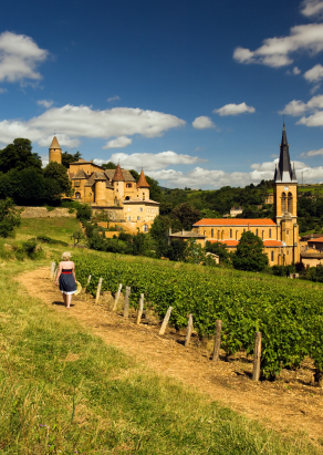 France Show 2011 brings the vineyards’ best to London